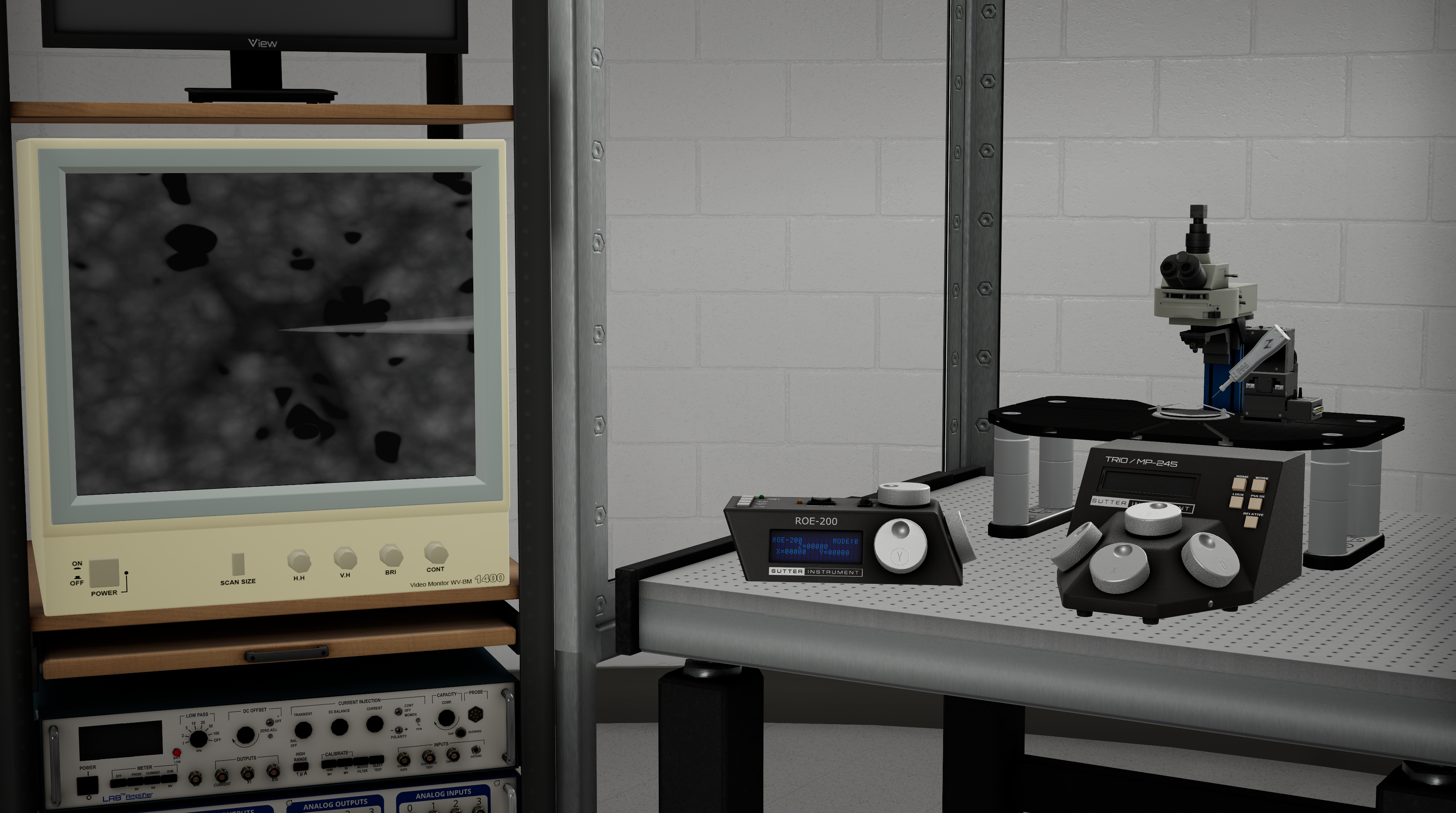 Molecular Neuroscience VR platform overview